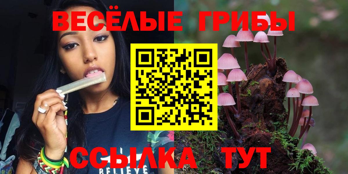 Псилоцибиновые грибы Psilocybine cubensis  Вход с VPN  Оренбург 
